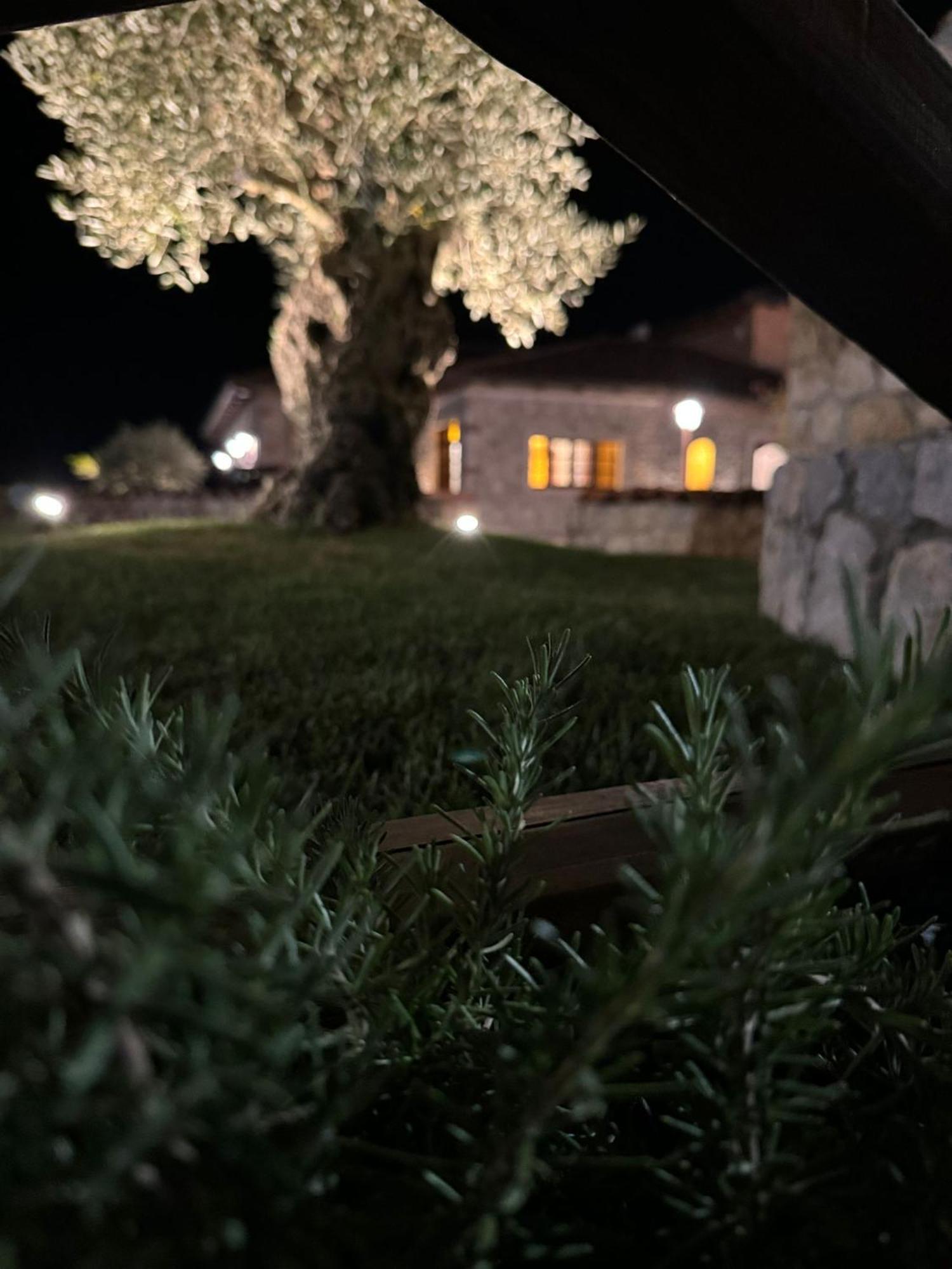 Tenuta Rosa - Gastronomia E Relax Montesano Scalo Εξωτερικό φωτογραφία
